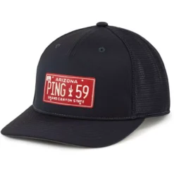 Ping License Plate Hat